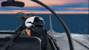 Fleet Defender: The F-14 Tomcat Simulation 4
